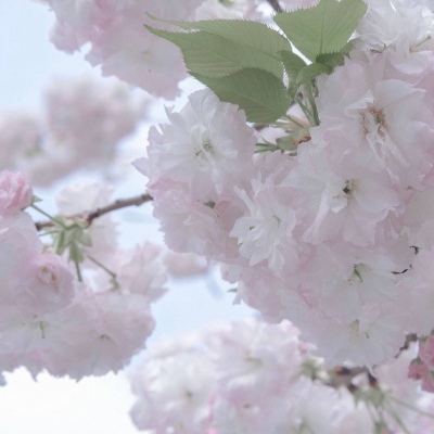 Furry绘画质感技巧福瑞群